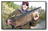 chinook salmon