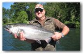 spring chinook