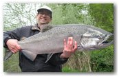 spring king salmon