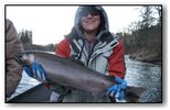 upper rogue coho salmon