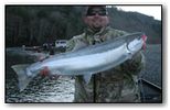 chetco steelhead