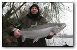 oregon steelhead