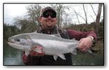 oregon steelhead