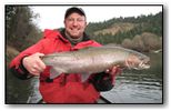 rogue steelhead