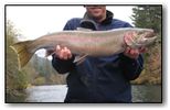 rogue summer steelhead