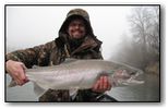 southern oregon steelhead