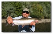 summer steelhead on the fly