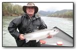 umpqua steelhead