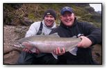 umpqua steelhead