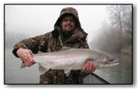 winter steelhead