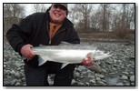 winter steelhead 2013