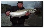 winter steelhead 2013